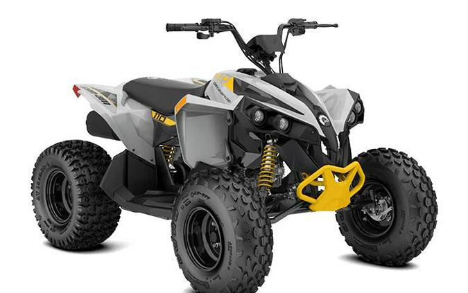 2026 Can-Am RENEGADE 110 EFI