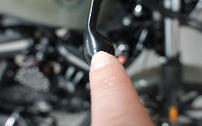 2021 Harley-Davidson Sportster 883 Iron