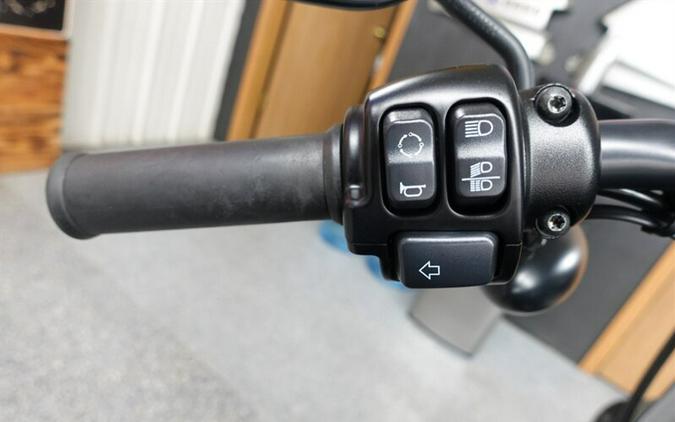 2021 Harley-Davidson Sportster 883 Iron