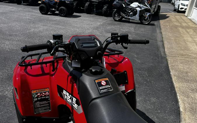 2026 Kawasaki Brute Force® 300