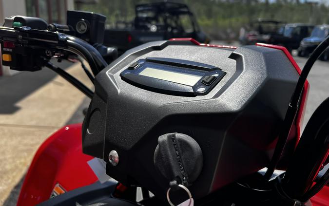2026 Kawasaki Brute Force® 300