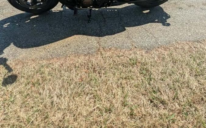 2023 Harley-Davidson Sportster® S
