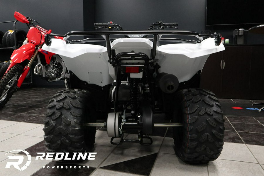 2024 Yamaha Grizzly 90