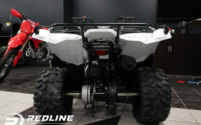 2024 Yamaha Grizzly 90