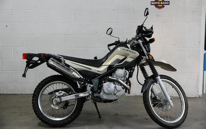 2019 YAMAHA XT 250