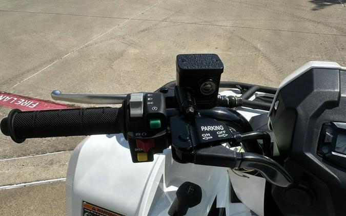 2025 Kawasaki Brute Force 450 4x4