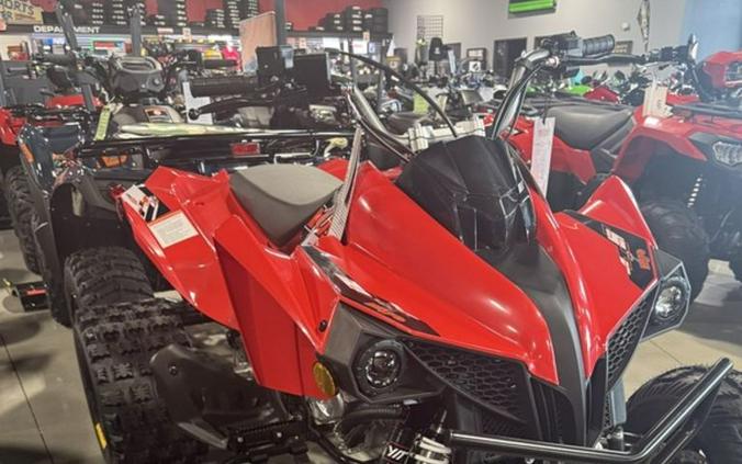 2026 Kayo Storm 300 EFI