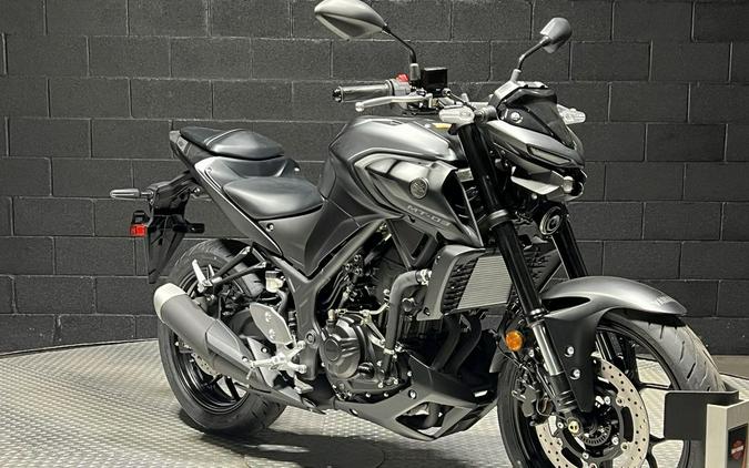 2024 Yamaha MT-03