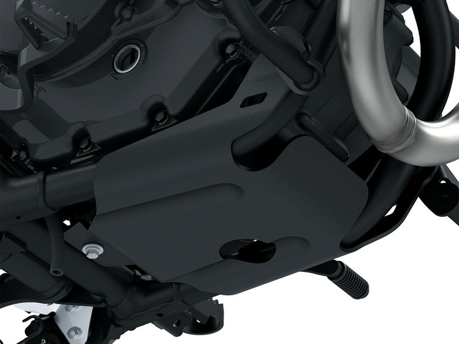 2026 Kawasaki KLX 230 DF ABS