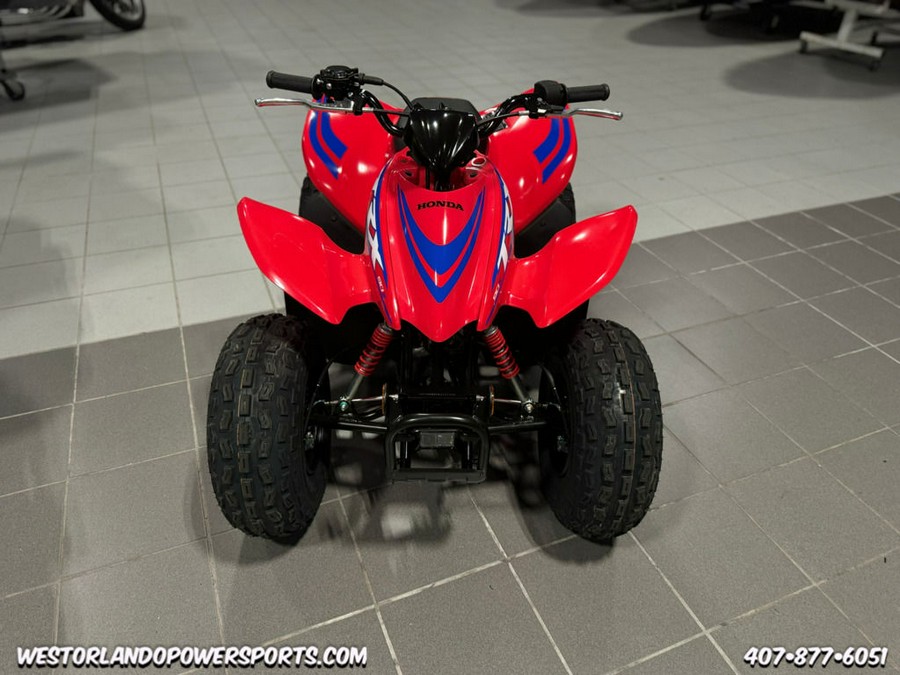 2024 Honda® TRX90X