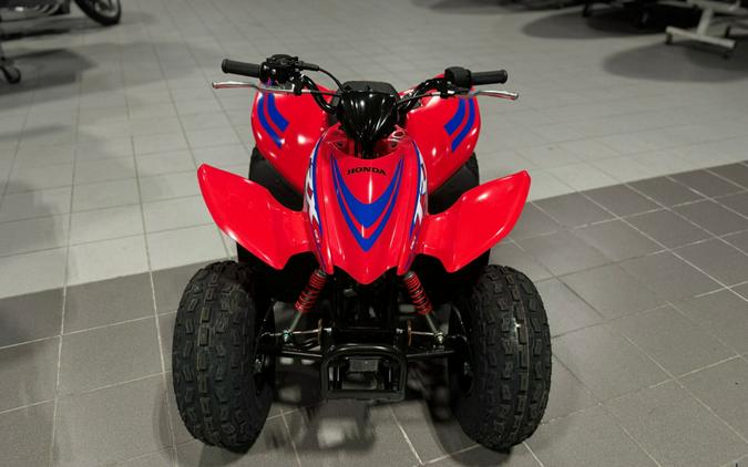 2024 Honda® TRX90X