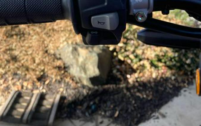 2025 Honda® CRF450RL