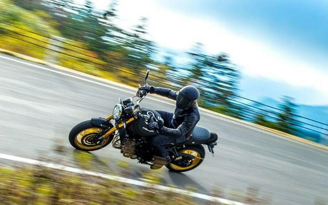 2025 Kawasaki ZR900RE SE ABS