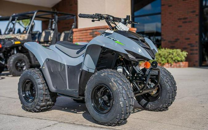 2024 Kawasaki KFX®90