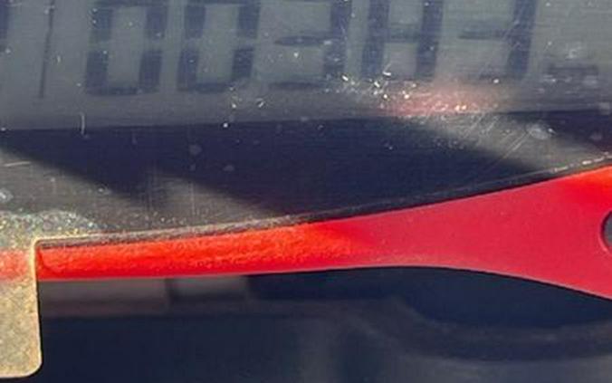 2024 Beta 390 RS Special Edition 4-Stroke