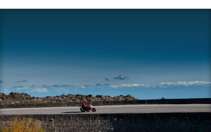 2012 Ducati Monster 1100 EVO