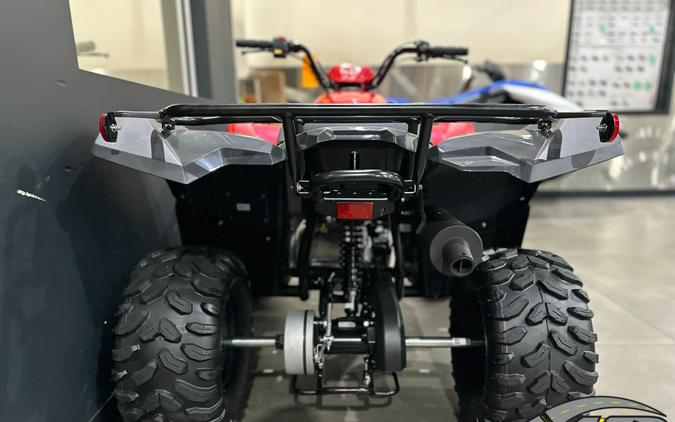 2025 Yamaha Grizzly 110