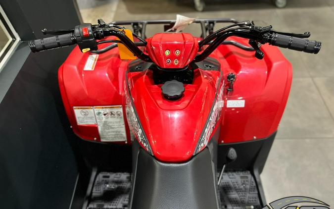 2025 Yamaha Grizzly 110