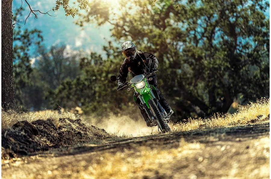 2019 Kawasaki KLX® 250