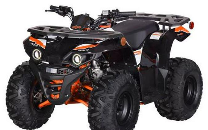 2026 Kayo Bull 110