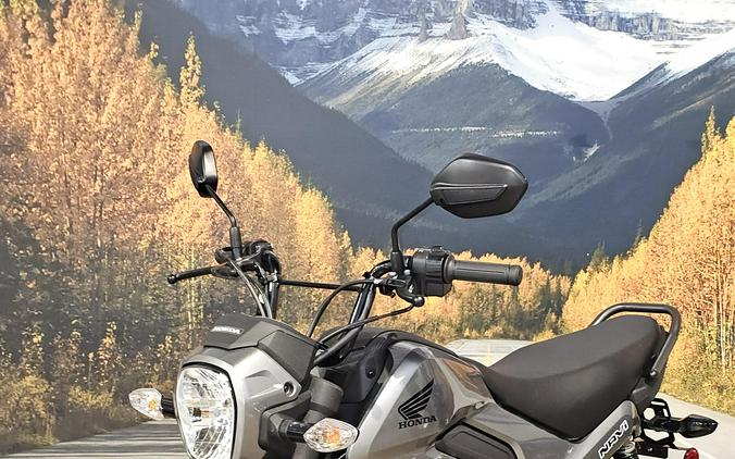 2024 Honda Navi