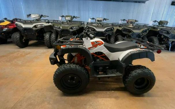 2026 Kayo Bull 150 EFI