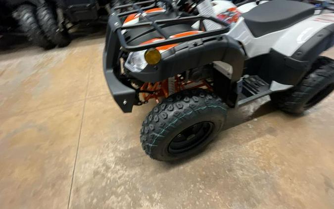 2026 Kayo Bull 150 EFI