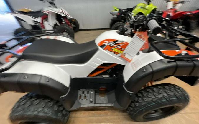 2026 Kayo Bull 150 EFI