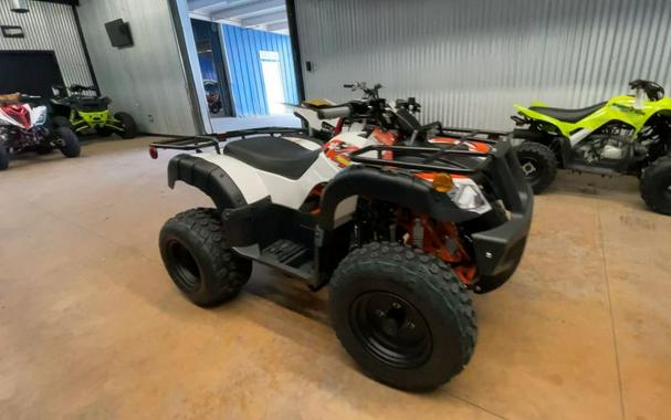 2026 Kayo Bull 150 EFI
