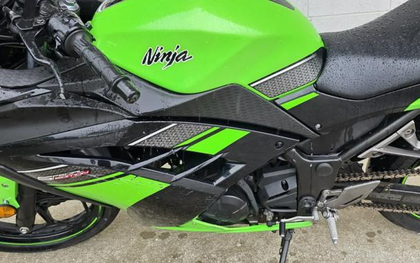 2013 Kawasaki Ninja 300