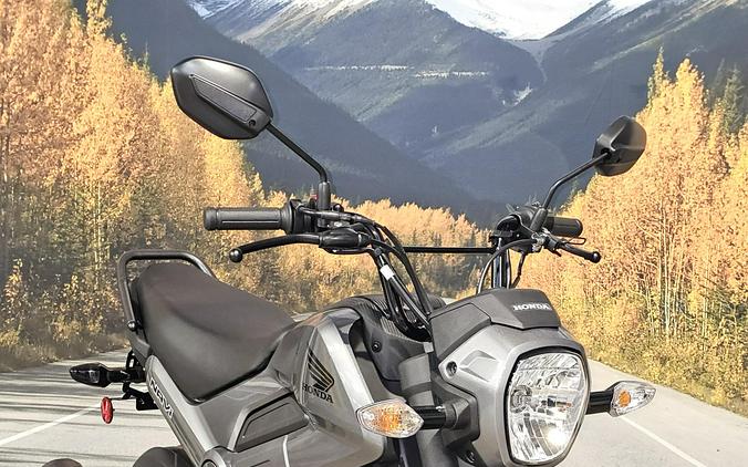 2024 Honda Navi