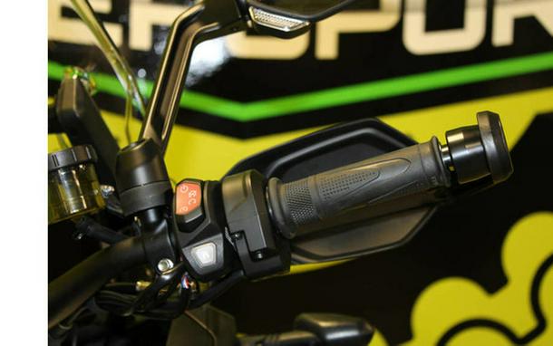 2024 Triumph Tiger 1200 Rally Explorer Matt Khaki Green