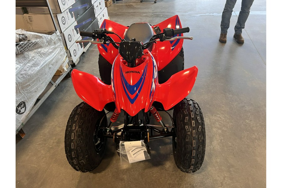 2024 Honda TRX90X