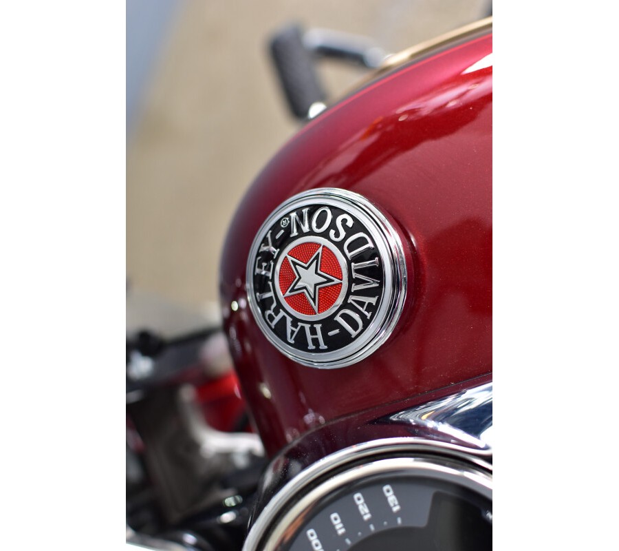 2023 Harley-Davidson Fat Boy Anniversary