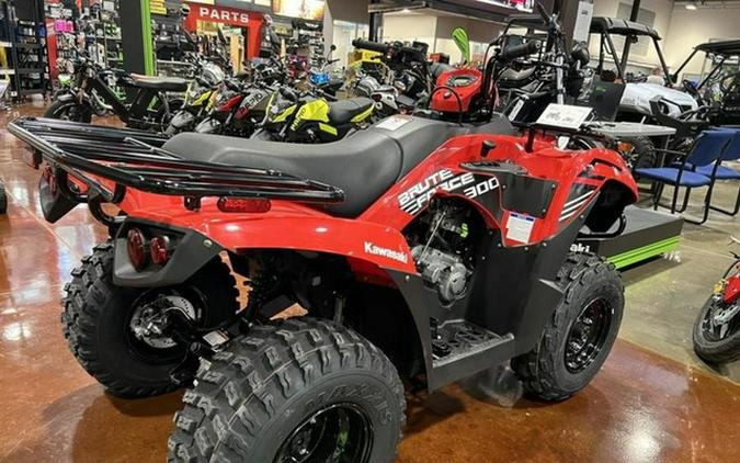 2024 Kawasaki Brute Force 300