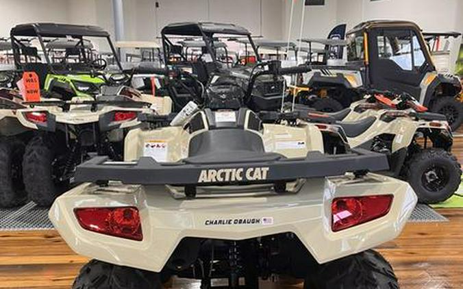 2023 Arctic Cat ALTERRA 300