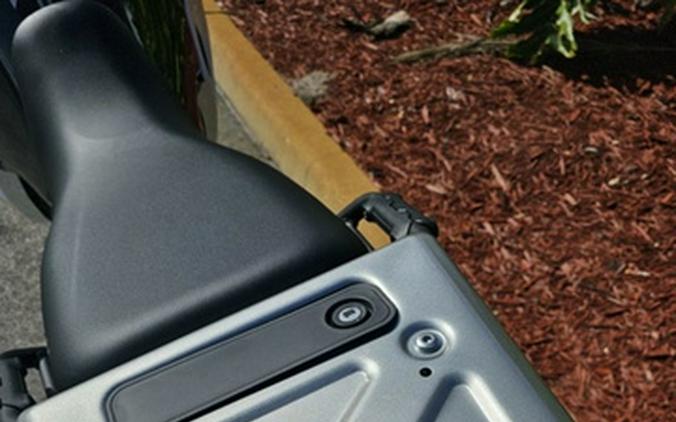 2024 Kawasaki KLR650 S