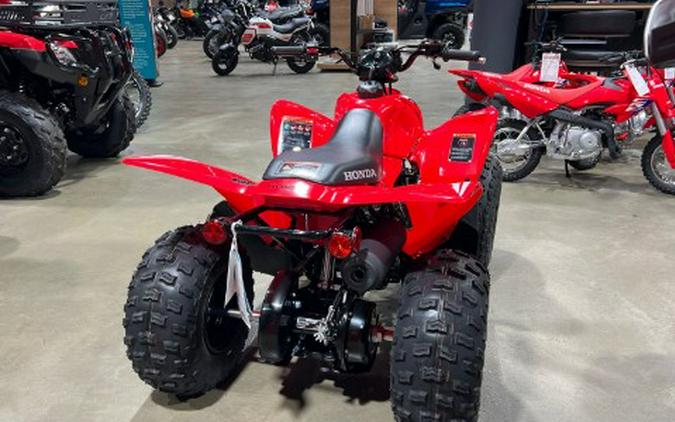 2026 Honda TRX90X