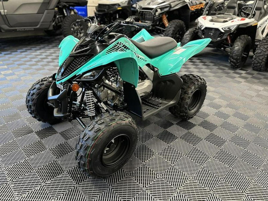 2024 Yamaha Raptor 110