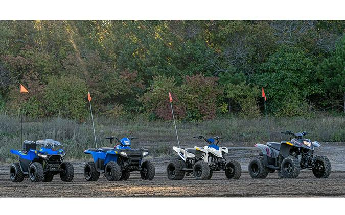 2025 Polaris Phoenix 200