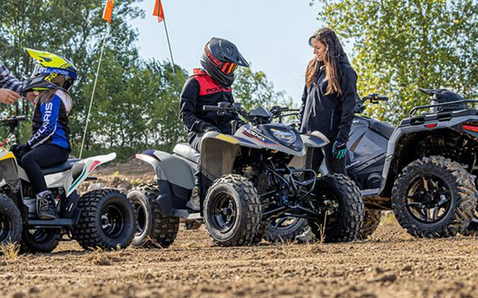 2025 Polaris Phoenix 200