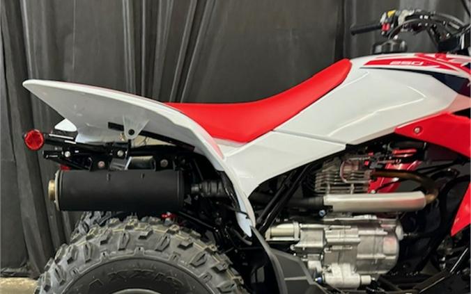 2024 Honda TRX250X