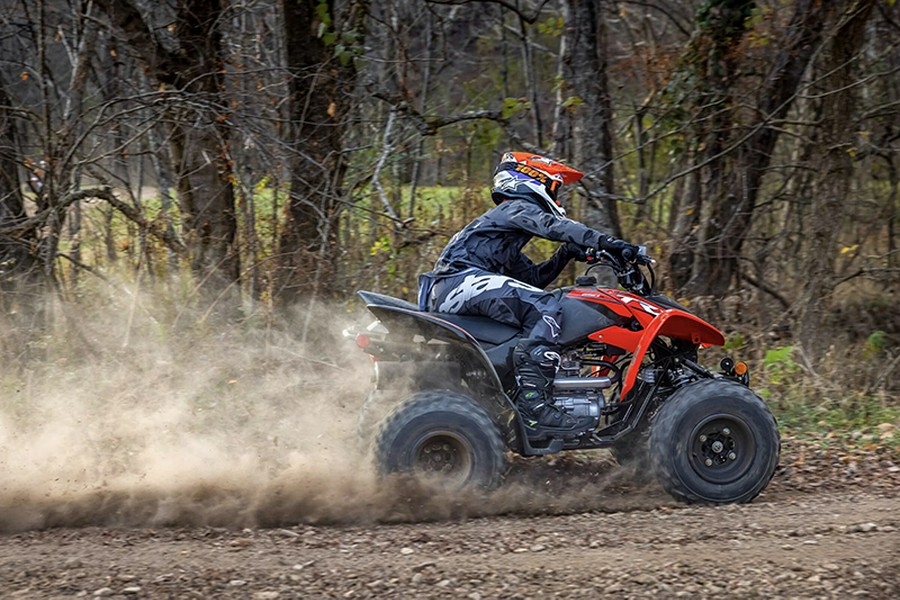 2024 Honda TRX250X