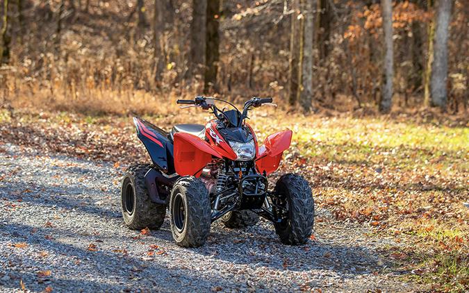 2024 Honda TRX250X