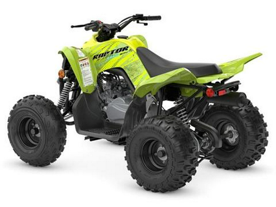 2026 Yamaha Raptor 110