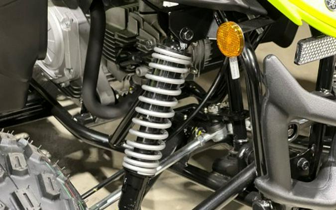 2026 Yamaha Raptor 110