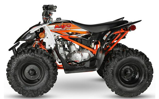 2021 Kayo Predator 125
