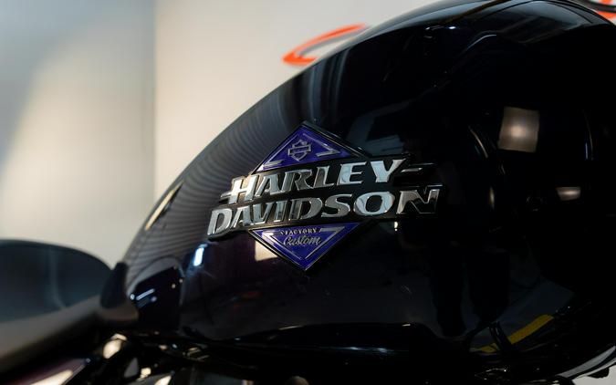 2025 Harley-Davidson Road Glide®