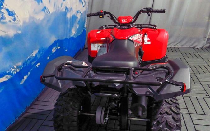 2025 Yamaha Grizzly 110