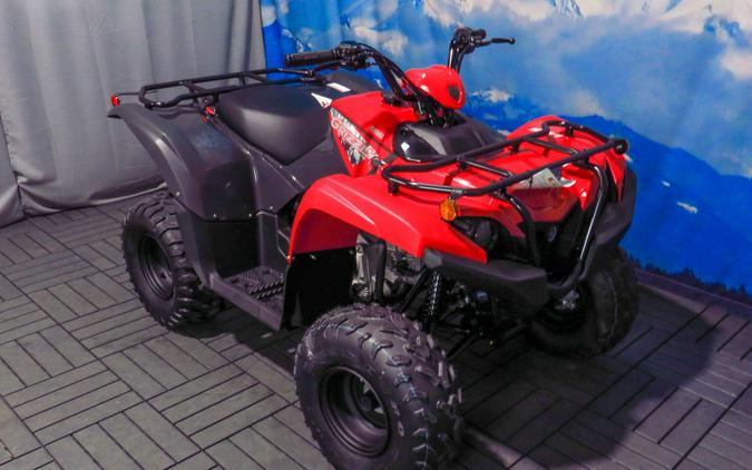 2025 Yamaha Grizzly 110